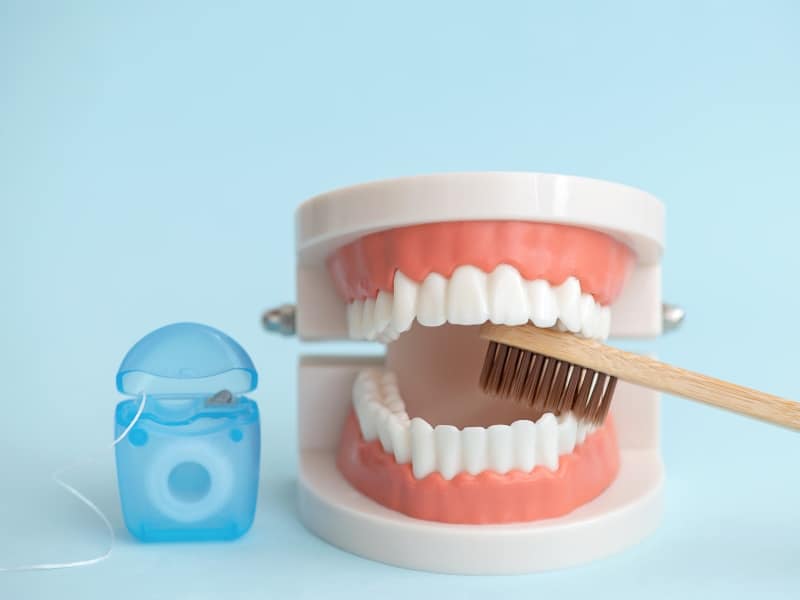Dental model with toothbrush and floss demonstrating care after cosmetic dentistry treatments.